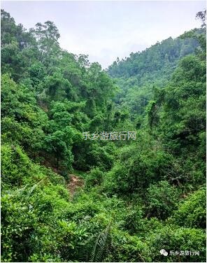 <a href=http://www.lexiangyou.org/xiangcunlvyou/ target=_blank class=infotextkey>乡村旅游</a>：假期登高，游玩于山水之间
