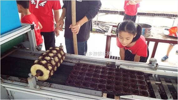 <a href=http://www.lexiangyou.org/xiangcunlvyou/ target=_blank class=infotextkey>乡村旅游</a>：有得玩！参观山泉水种植蔬菜，动手制作酵素，品尝石斛农家菜