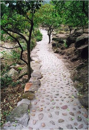 <a href=http://www.lexiangyou.org/xiangcunlvyou/ target=_blank class=infotextkey>乡村旅游</a>：畅游生态景区！欢度六一，儿童三天免票游玩