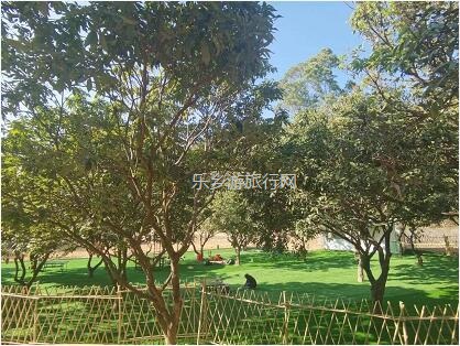 <a href=http://www.lexiangyou.org/xiangcunlvyou/ target=_blank class=infotextkey>乡村旅游</a>：[春游]背靠铁炉山水库边，浪漫花海、彩虹滑草、网红摩天轮...