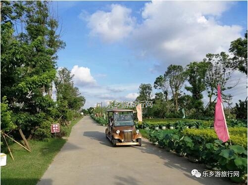 <a href=http://www.lexiangyou.org/xiangcunlvyou/ target=_blank class=infotextkey>乡村旅游</a>：【沙溪田园】骑车漫步、荷塘美景、绿岛赏花、采摘水果、野炊烧烤...