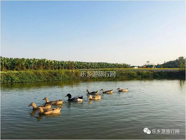 <a href=http://www.lexiangyou.org/xiangcunlvyou/ target=_blank class=infotextkey>乡村旅游</a>：人文荟萃，农趣盎然；超多原生态食材等你：香水柠檬+甲鱼+走地鸡+游水麻鸭+河鲜...