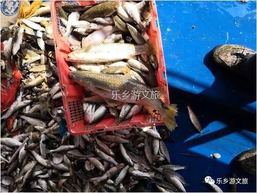 <a href=http://www.lexiangyou.org/xiangcunlvyou/ target=_blank class=infotextkey>乡村旅游</a>：【海游】领略大海的迤逦风光，即时品尝美味海鲜